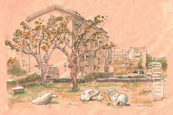 yamasaki-prof