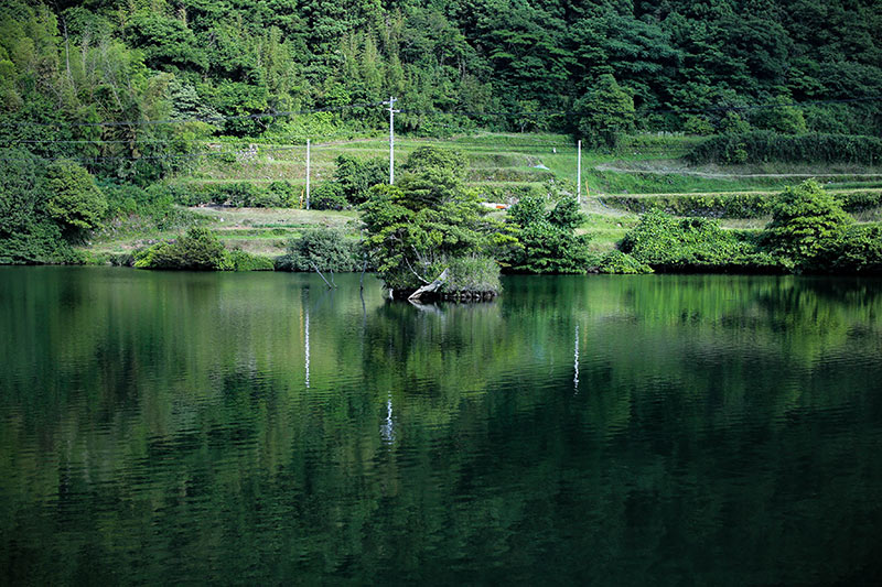 20150624-3