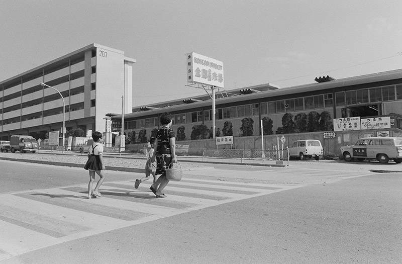 danchix800-01-007