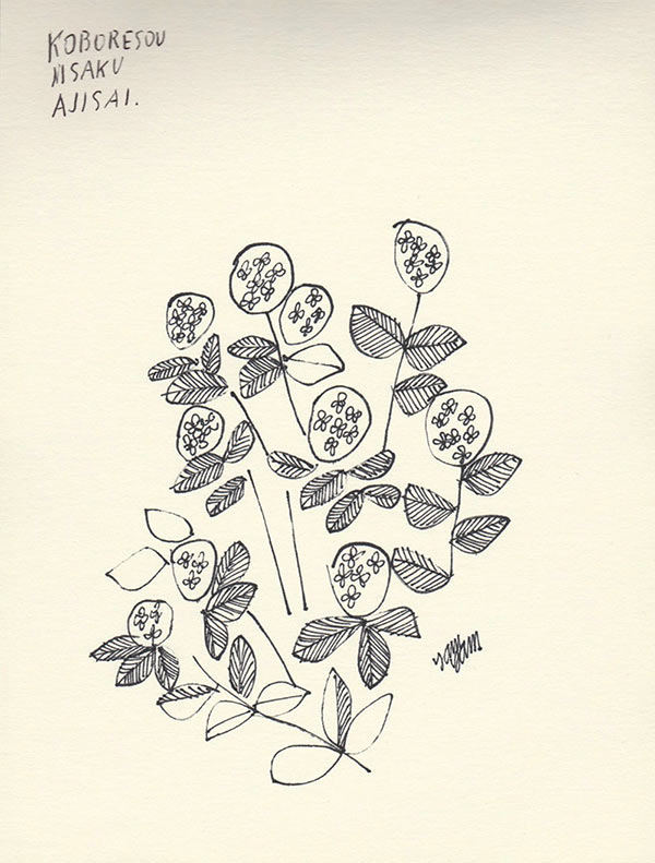 3-2yamyam_sketch08