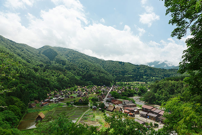 _MD_6586_1