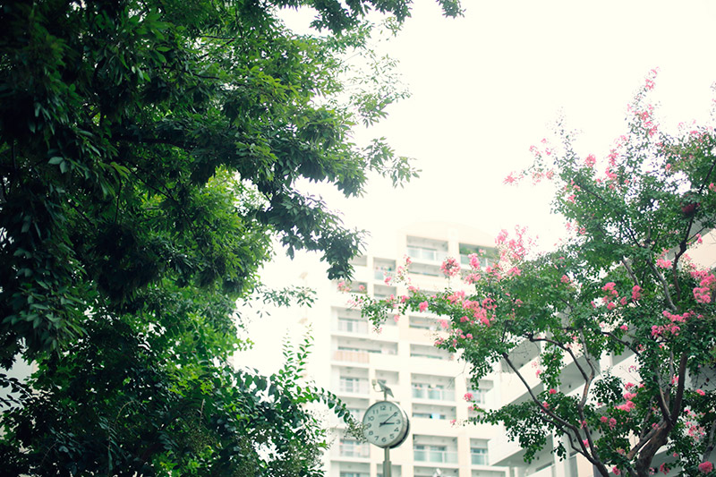 s05-2_P8A6817_a