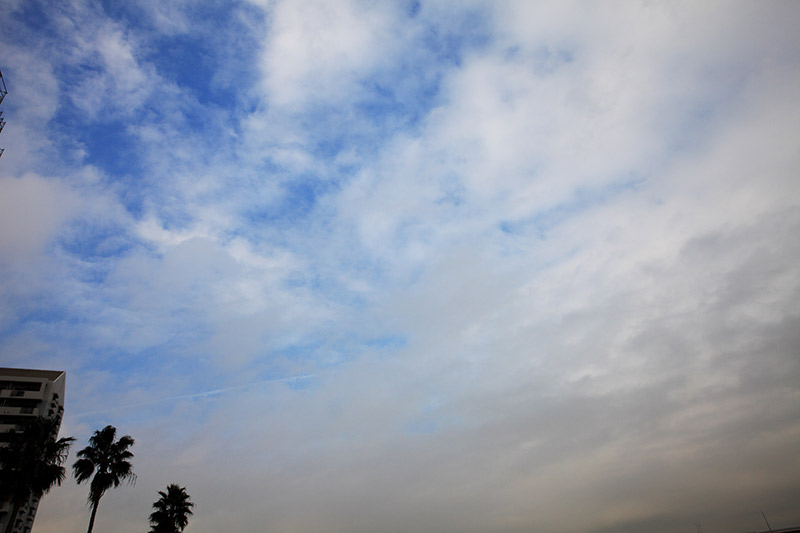 02-03-IMG_7821