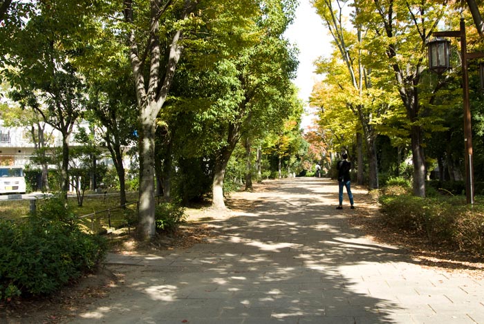 季節の移り変わりを伝える『かつらぎの道』