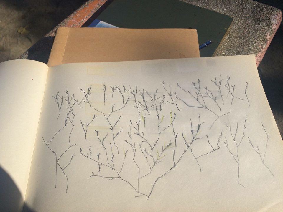 20151231-2