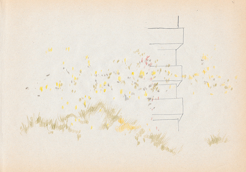 iwase-03