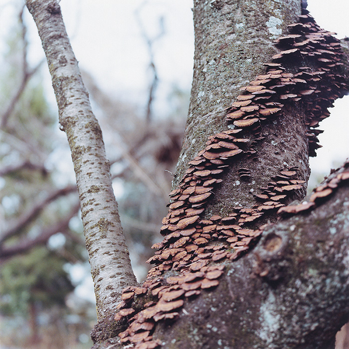 20151218_7days_005-Edit