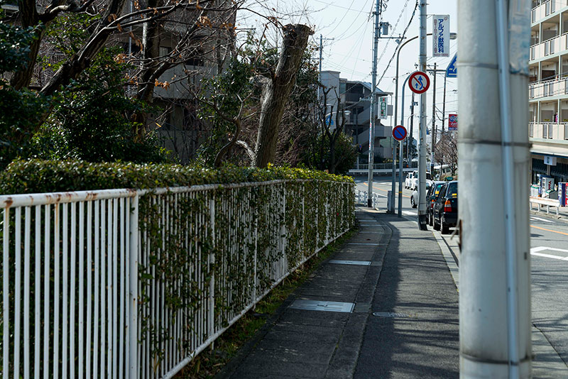 moriya-2-1