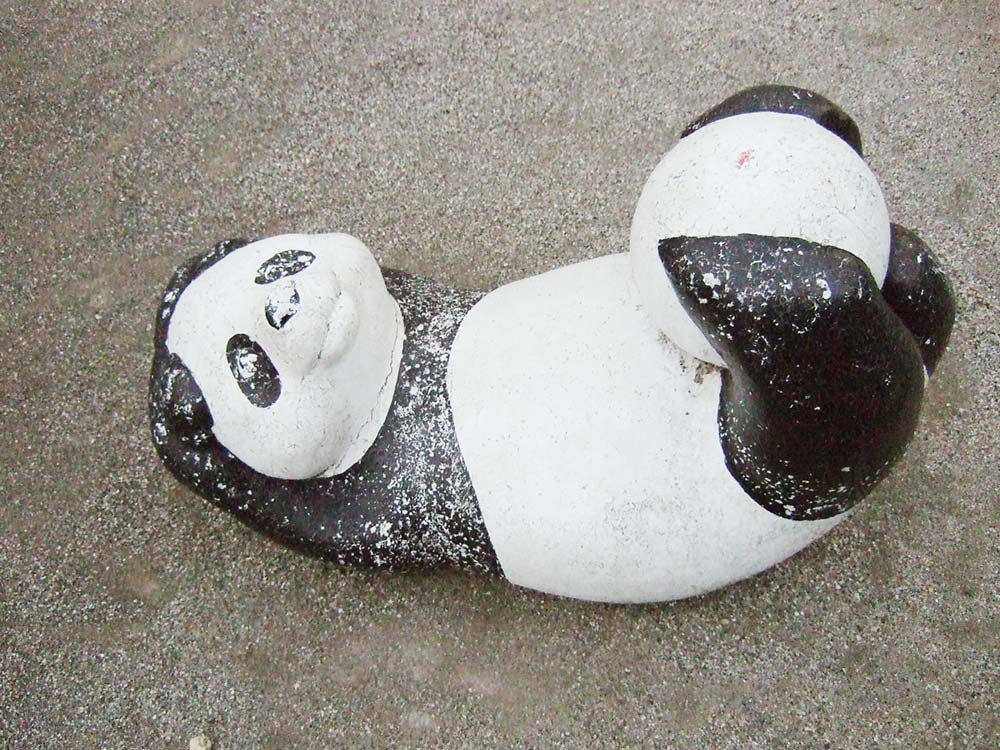 panda4