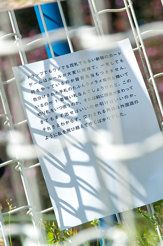 sagami-06-04