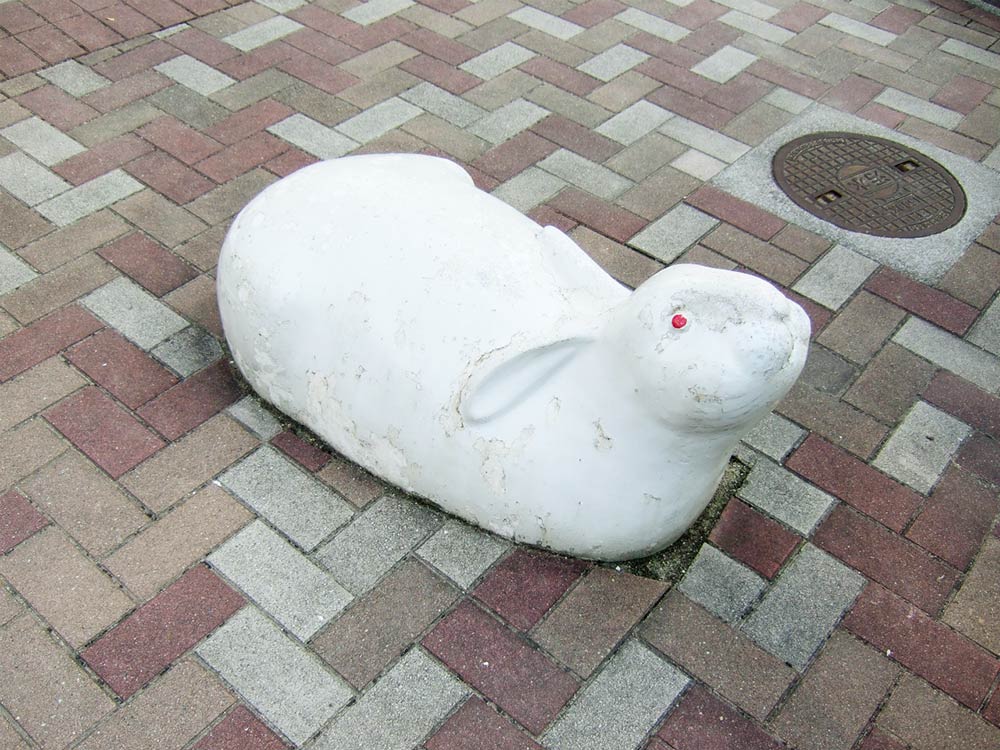 usagi2