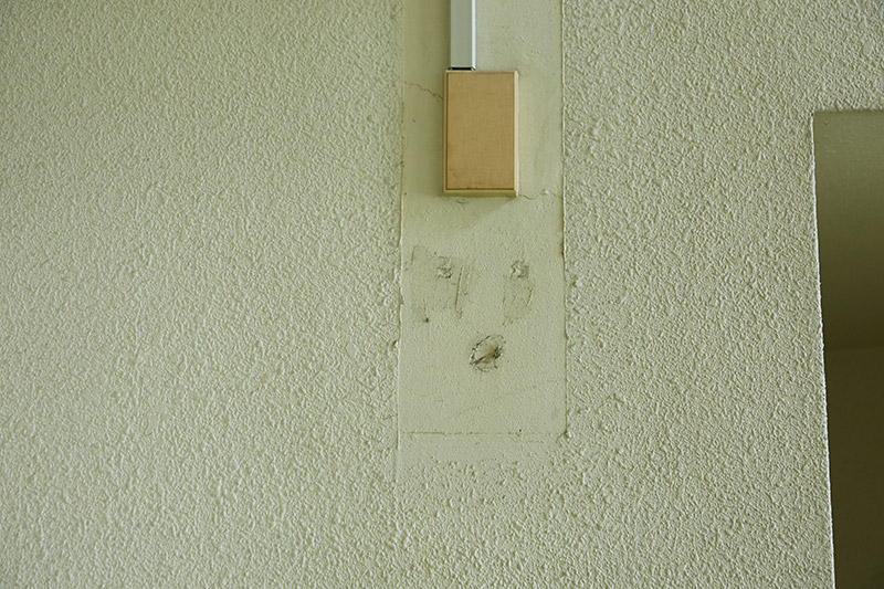 5-3_IMG_5534