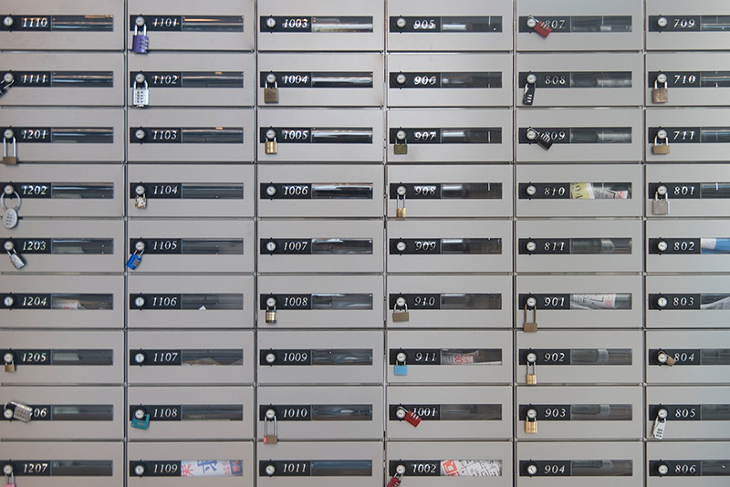 8-1_dsc11