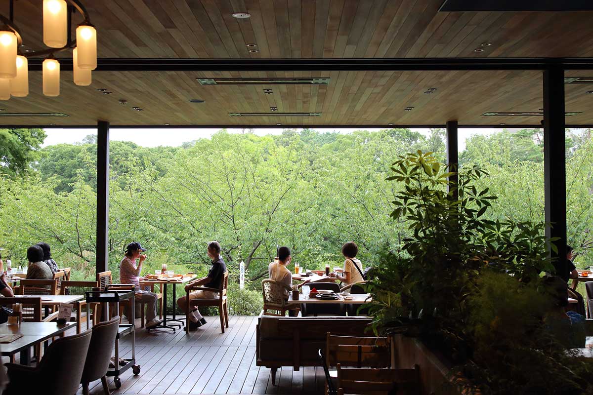 公園×カフェの進化系、千里南公園に バードツリー探訪 - うちまちだんち