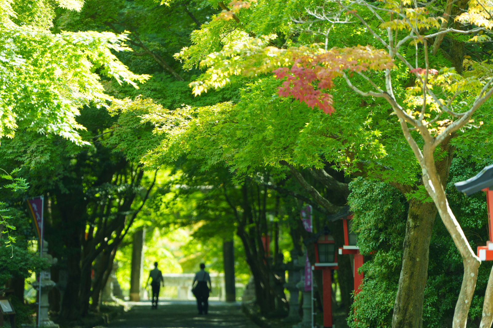 京都市西京区大原野にある大原野神社の二の鳥居