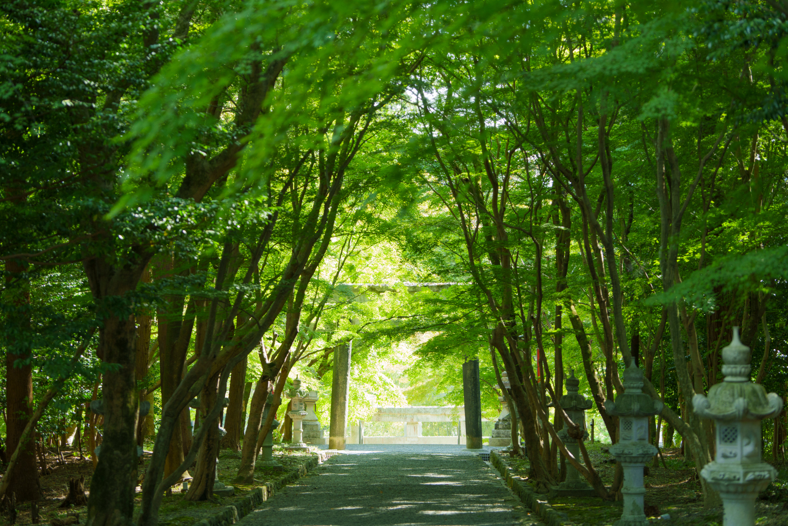 京都市西京区大原野にある大原野神社の参道
