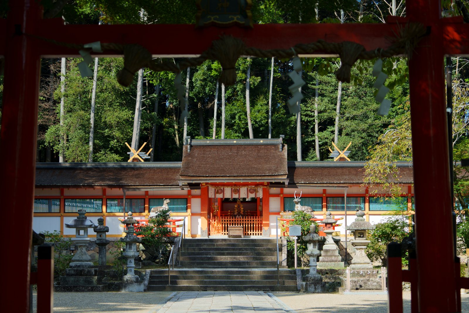 京都市西京区大原野にある大原野神社の荘厳華麗な朱塗りの本殿