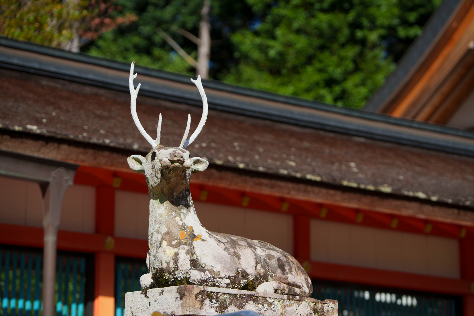 京都市西京区大原野にある大原野神社の狛犬、ならぬ狛鹿