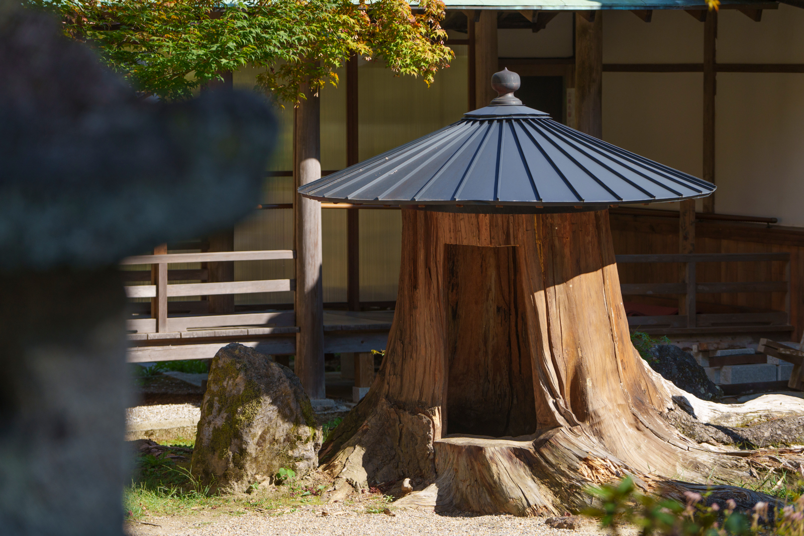 京都市西京区大原野にある大原野神社の御神木