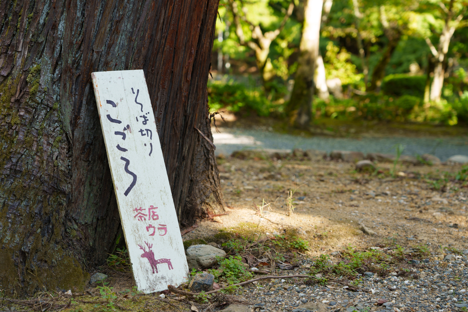 京都市西京区大原野にある本格手打ち蕎麦の名店「そば切りこごろ」の看板