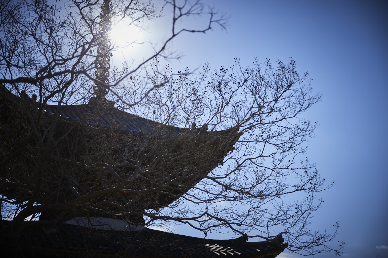 大阪府南部にある国神社