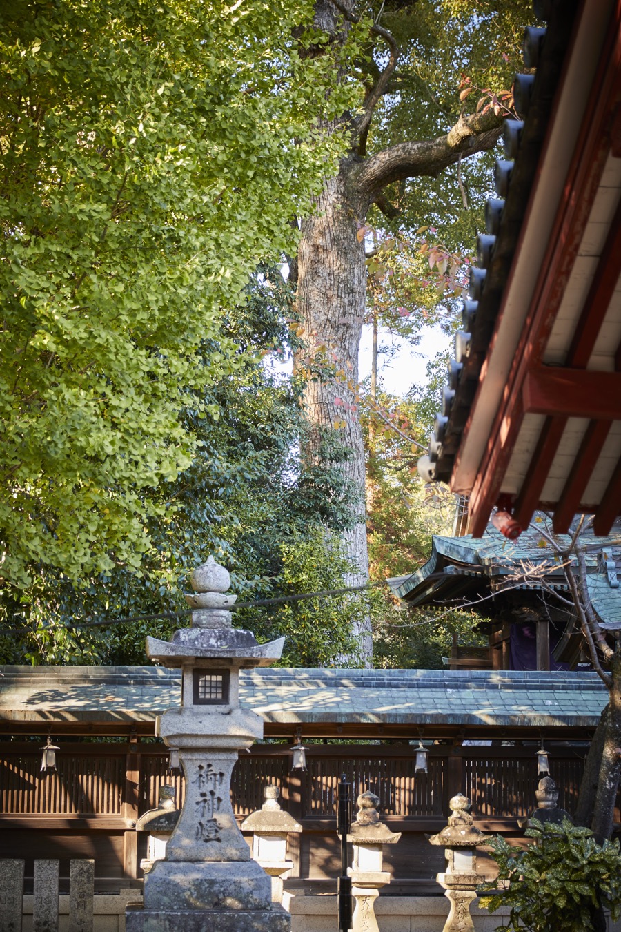 櫻井神社