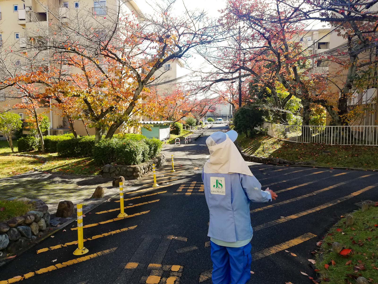 57号棟と63号棟の間の桜通り