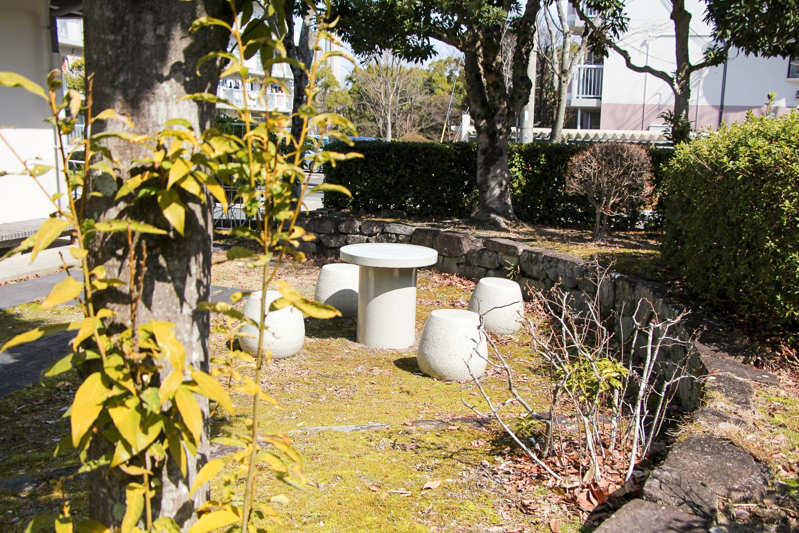 京都にある洛西竹の里団地の集会所の裏庭