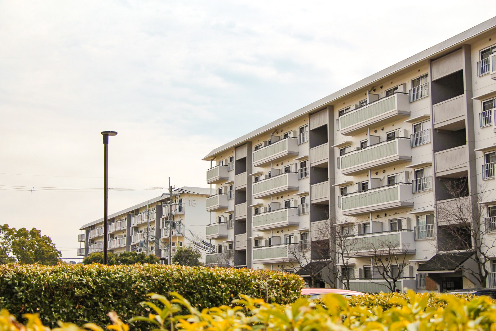 京都にある洛西竹の里団地の建物風景