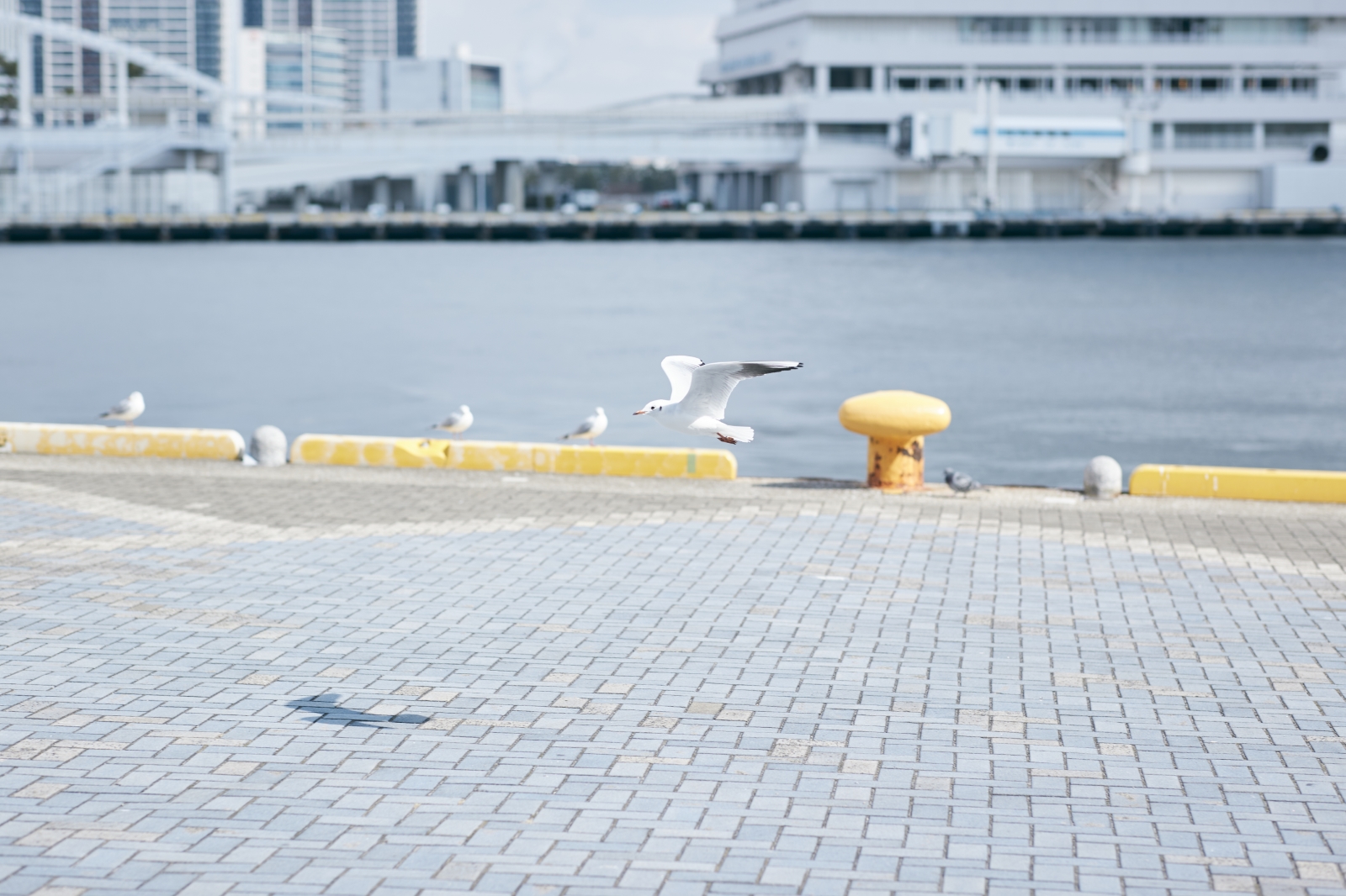 HAT神戸近くにある港の風景