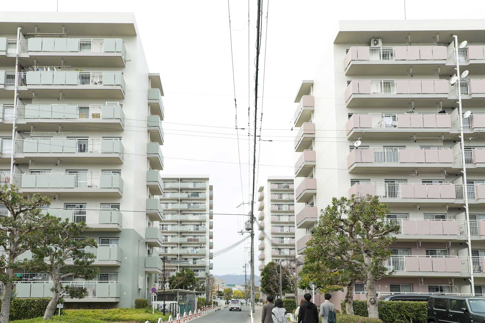 竹の里団地の外観風景