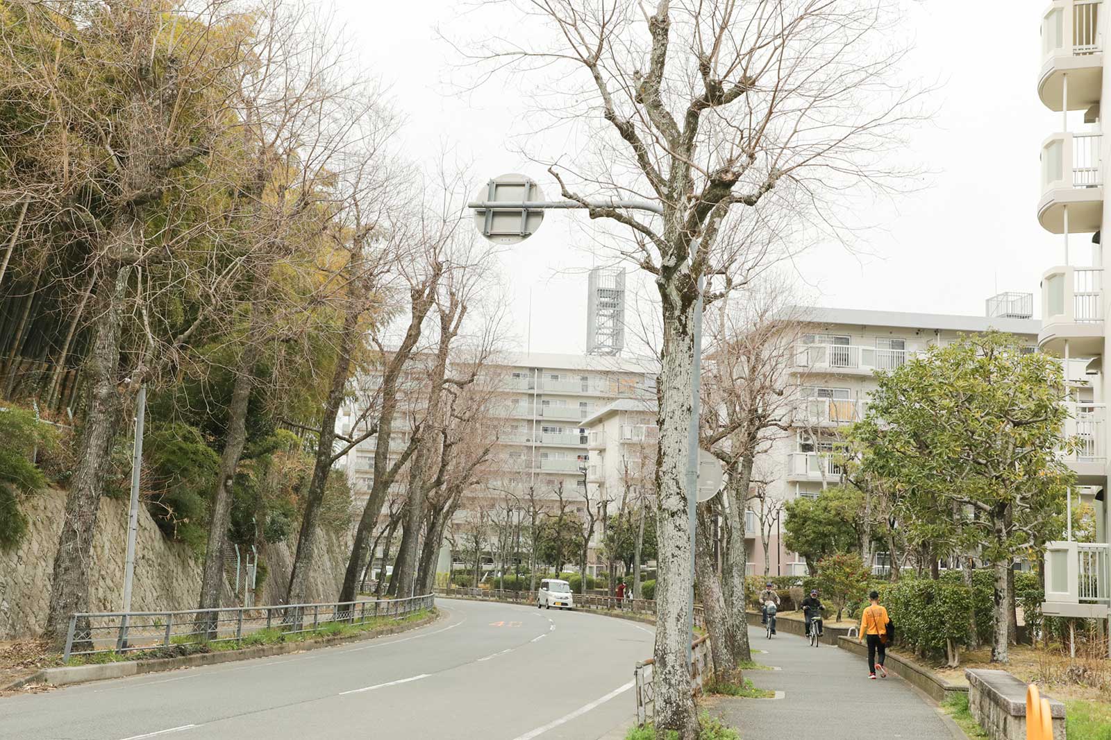 竹の里団地横にある道