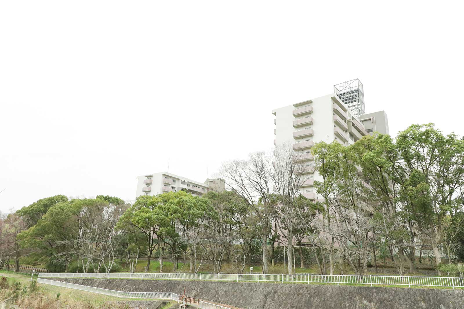 洛西竹の里団地の外構風景