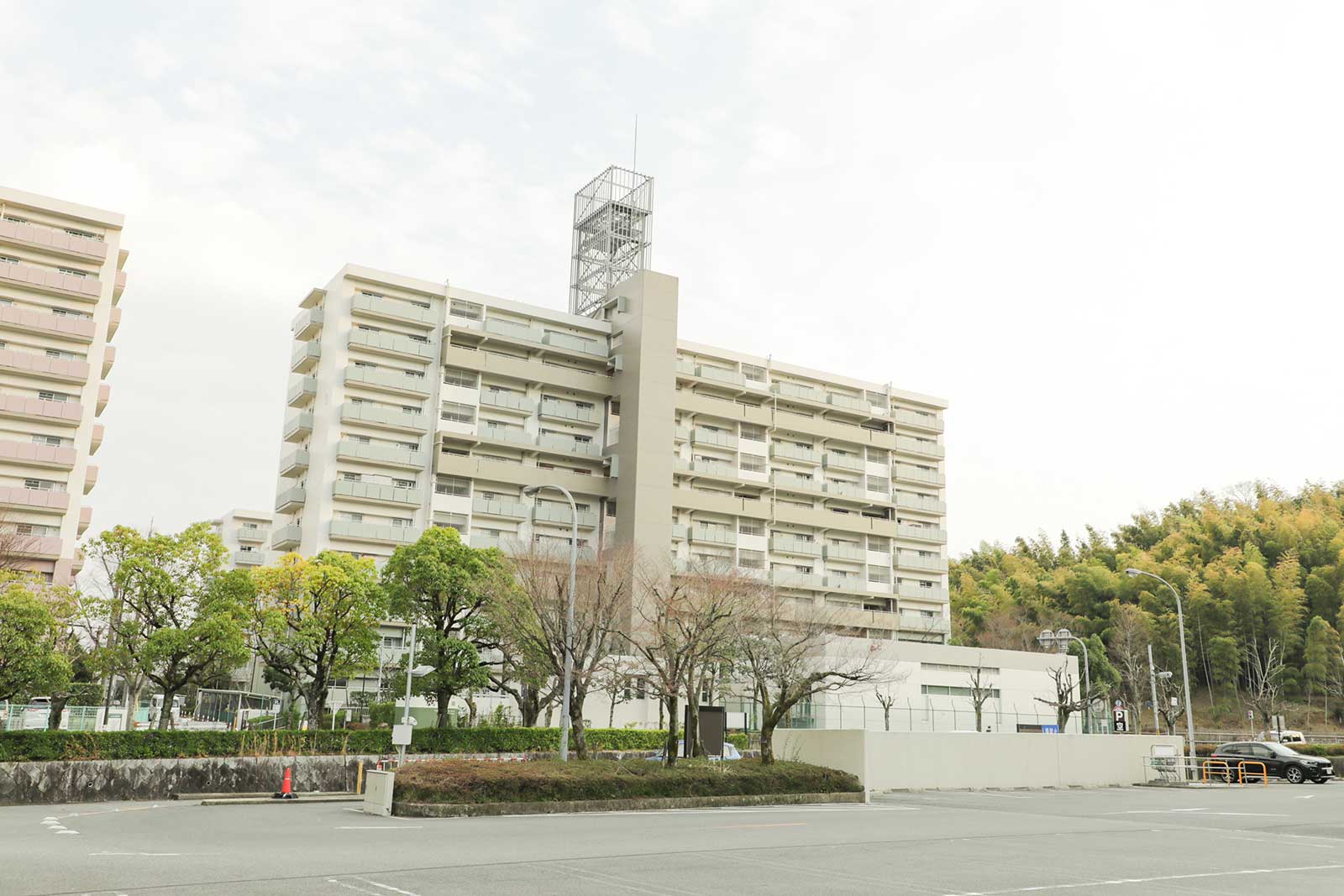 竹の里団地の外観風景