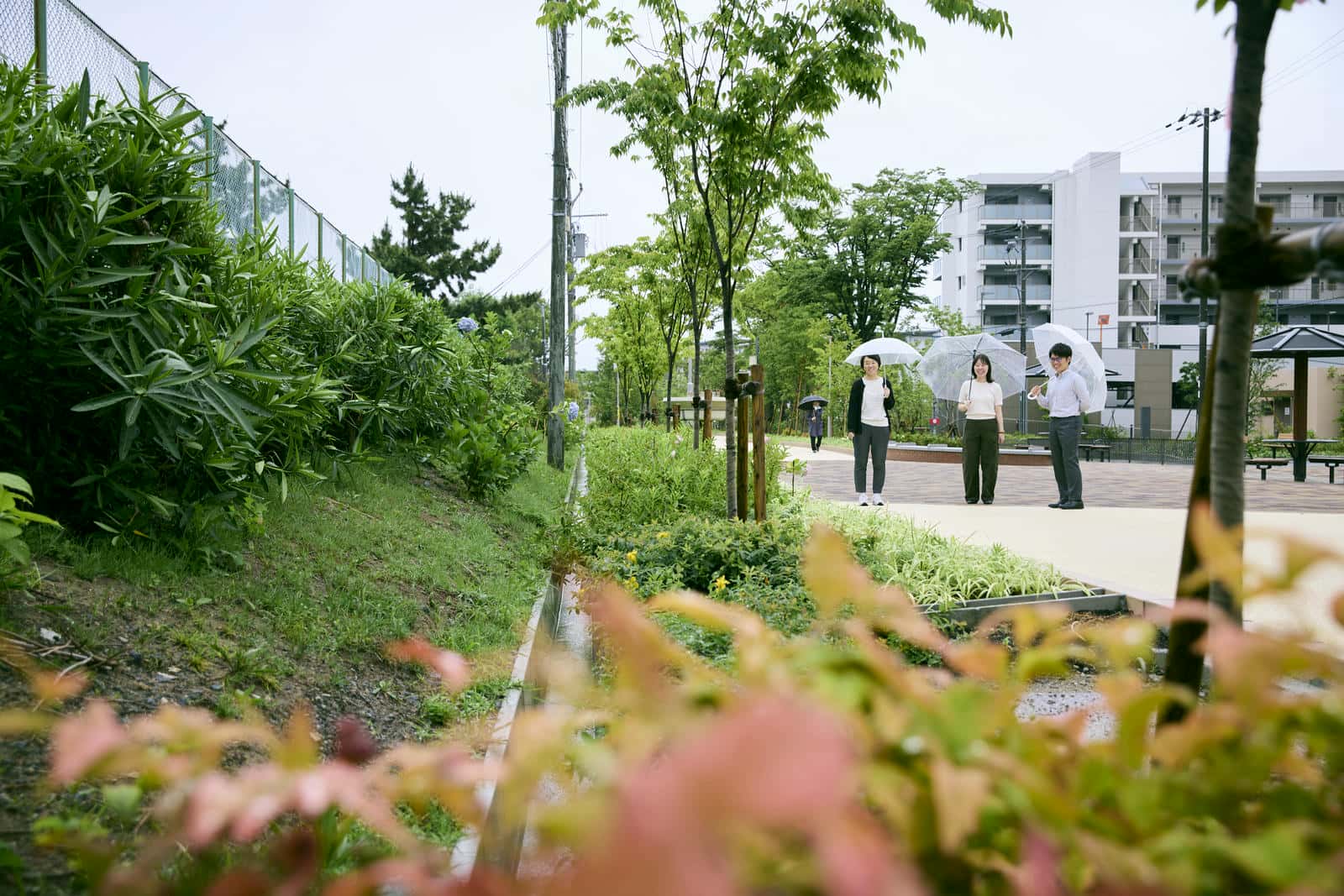 新千里東町団地の遊歩道、こぼれび通りを歩く3人