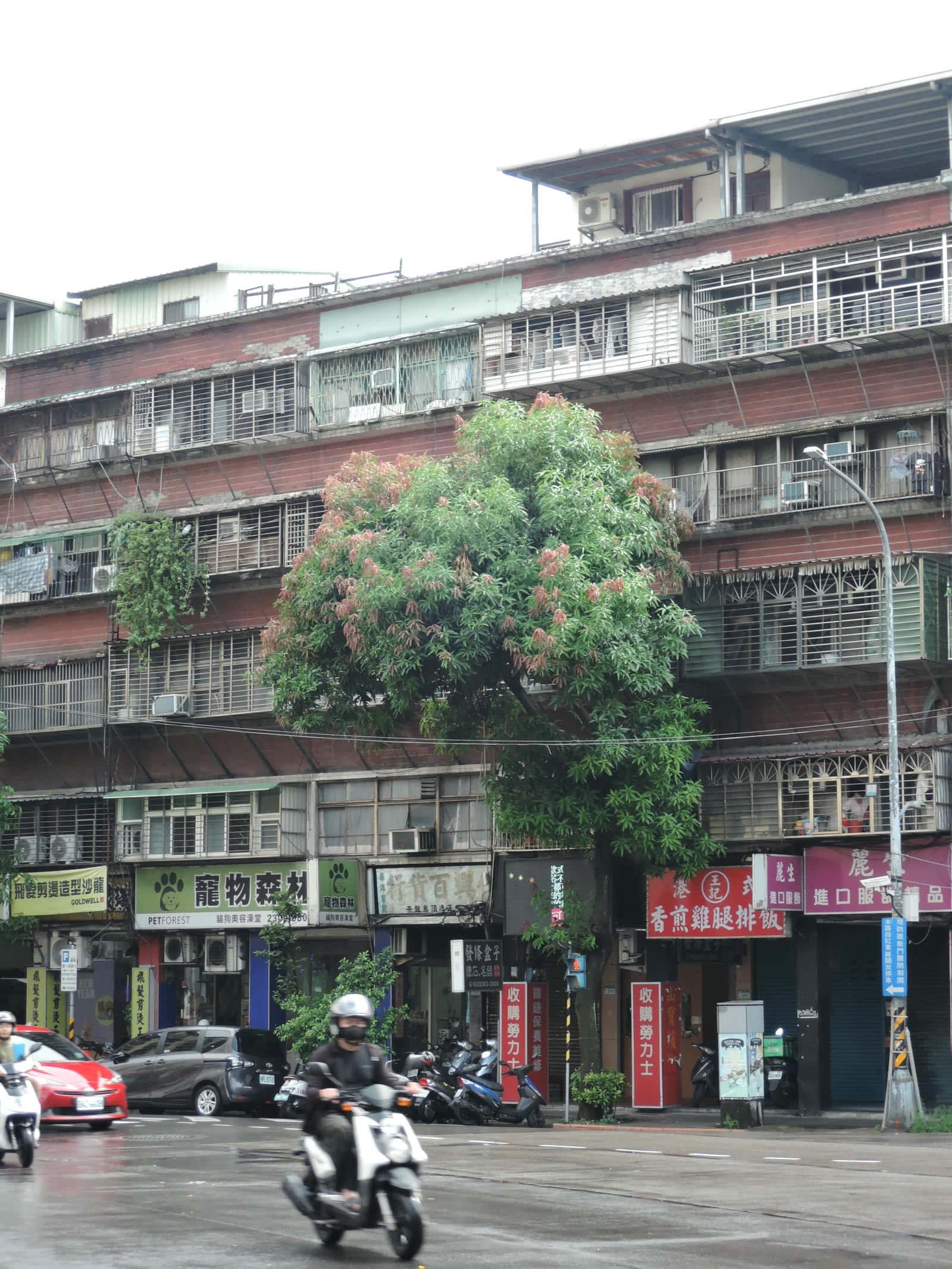 台湾の団地