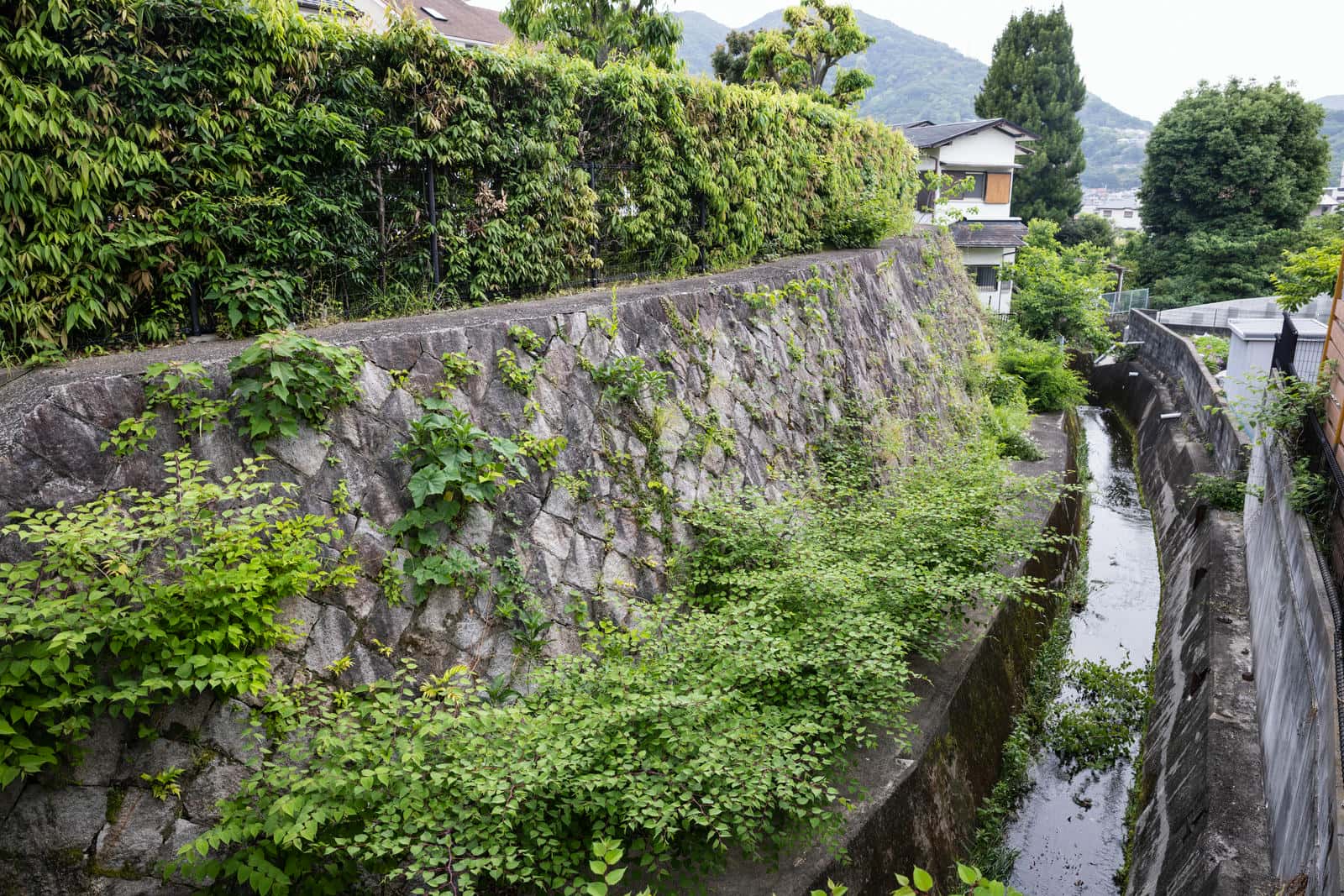 団地北側にある水路