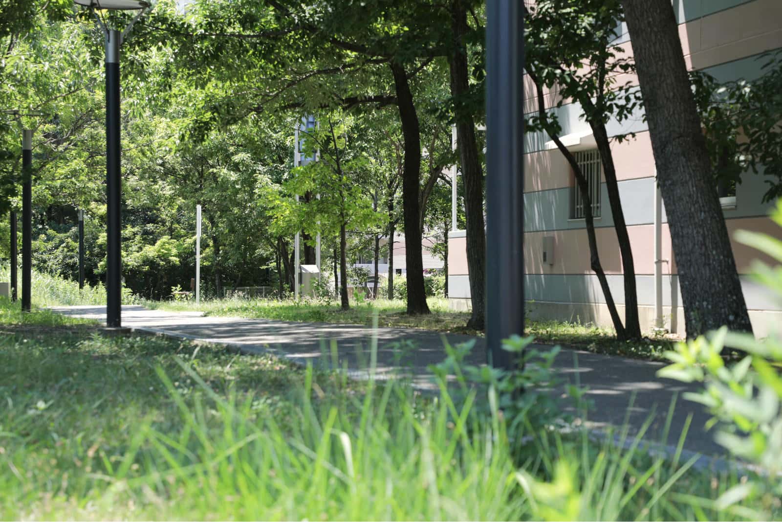シャレール東豊中団地内にある遊歩道