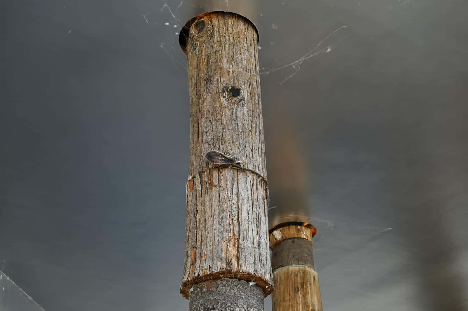 大阪・関西万博に設置された設置された公共施設、サテライトスタジオ東の最上部の様子