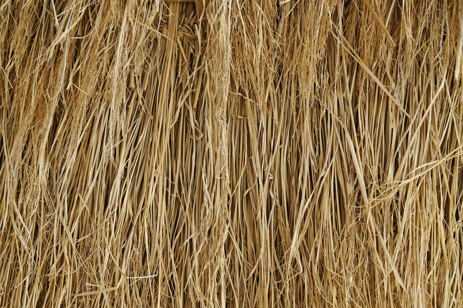 大阪・関西万博に設置された設置された公共施設、サテライトスタジオ東の壁面