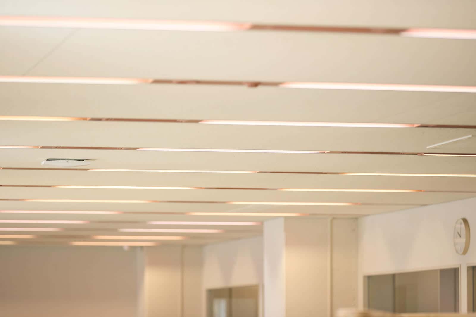 「ほとりで」の天井