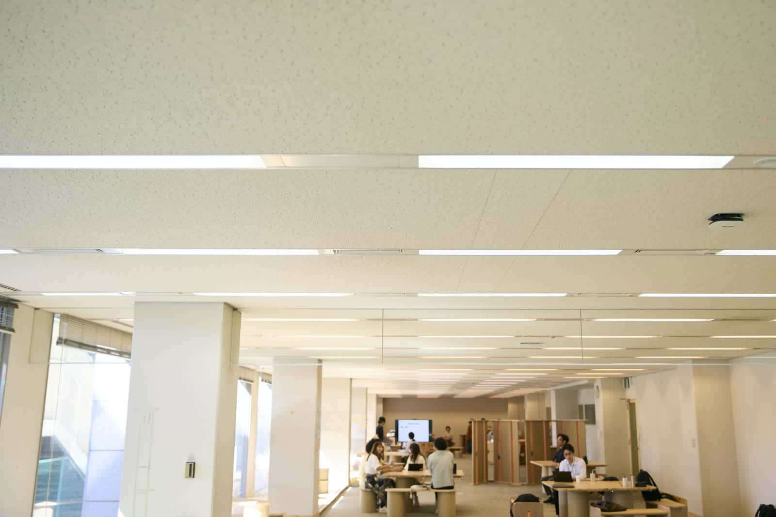 「ほとりで」の天井